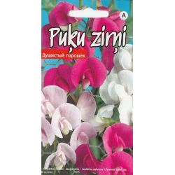 Sēklas puķu zirņi daudzgadīgi