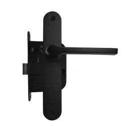 Встроенный замок Kurzemes 483M-32310-24M-R, крашеное