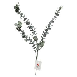 Mākslīgā Eikalipta zars 54cm
