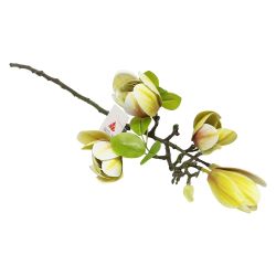 Mākslīgā Magnolija 68cm, balta