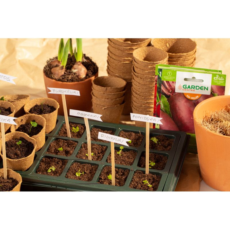 Siltumnīca dēstiem 12 nod.i 22x18x6,5