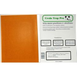 Līmes slazds credo grauzējiem, insektiem