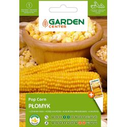 Sēklas vienkāršās kukurūzas plomyk