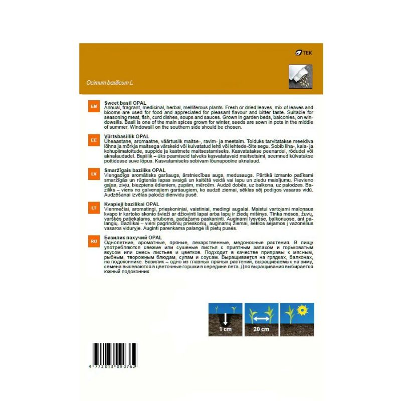 Sēklas smaržīgais baziliks opal