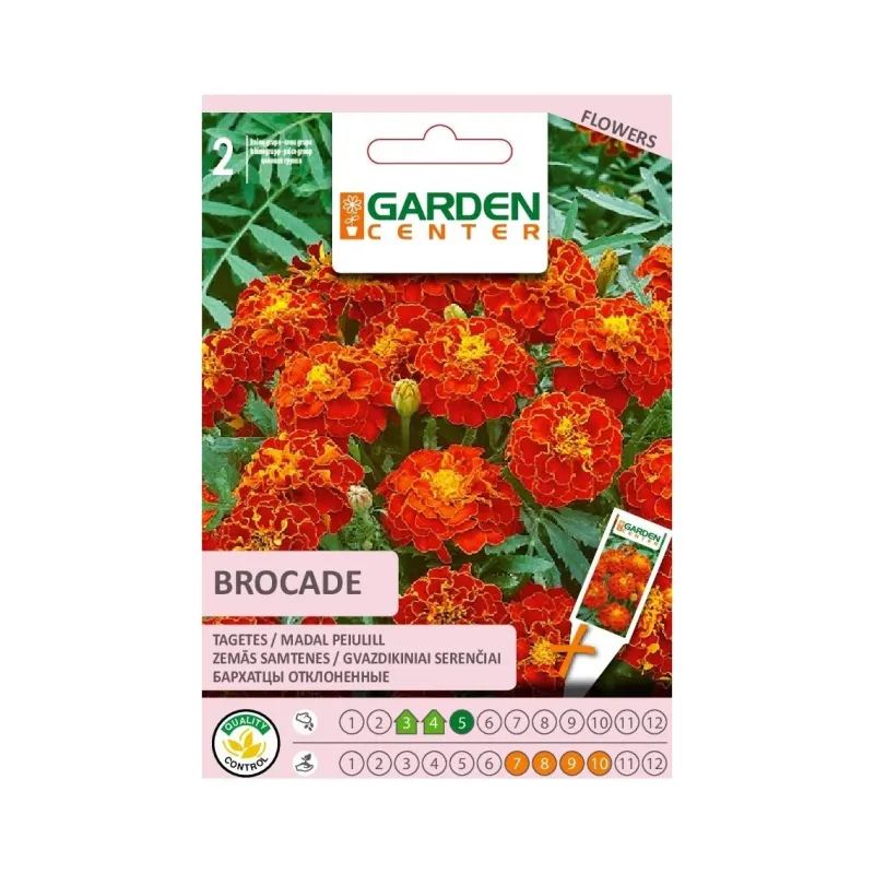 Sēklas Garden Center samtenes Brocade, 0.4 g