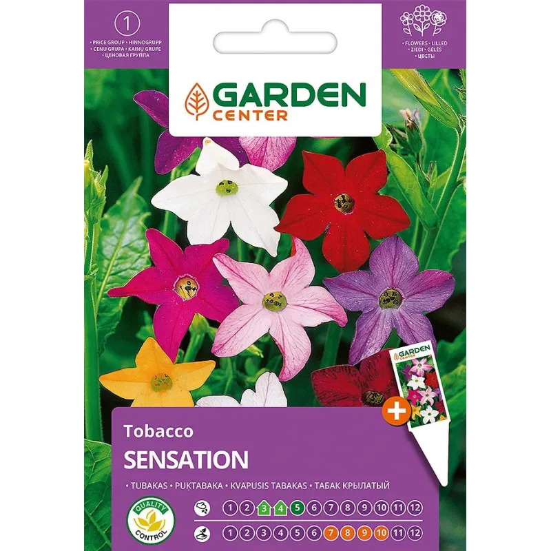 Sēklas Garden Center tabakas Sensation, 0.1 g