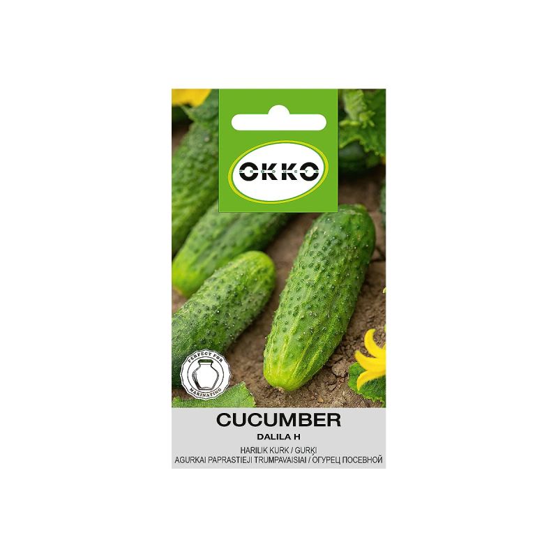 Sēklas īsaugļu gurķi dalila h