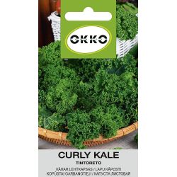 Sēklas lapu kāposti tintoreto