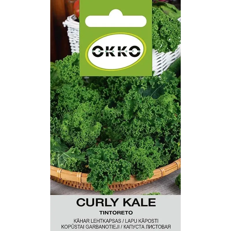 Okko Seeds, Garden Cabbage Tintoretto, 0.5 g