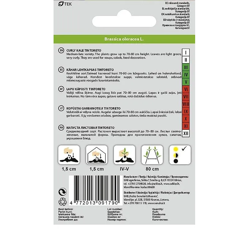 Okko Seeds, Garden Cabbage Tintoretto, 0.5 g