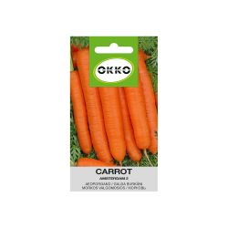 Sēklas galda burkāni amsterdam 2