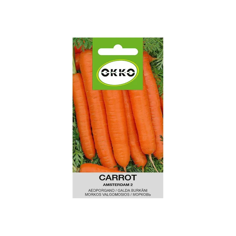 Sēklas Okko, burkāns Amsterdam 2, 2 g