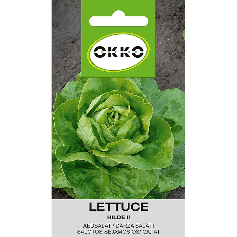 Sēklas dārza salāti hilde ii