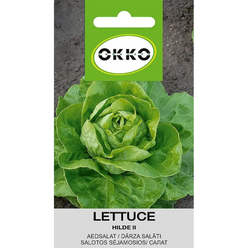 Sēklas Okko, salāti Hilde II, 1 g