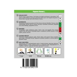 Sēklas magones shirley