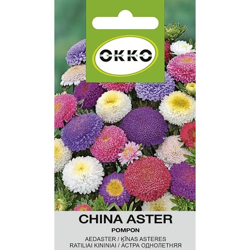 Sēklas ķīnas asteru maisījums pompon