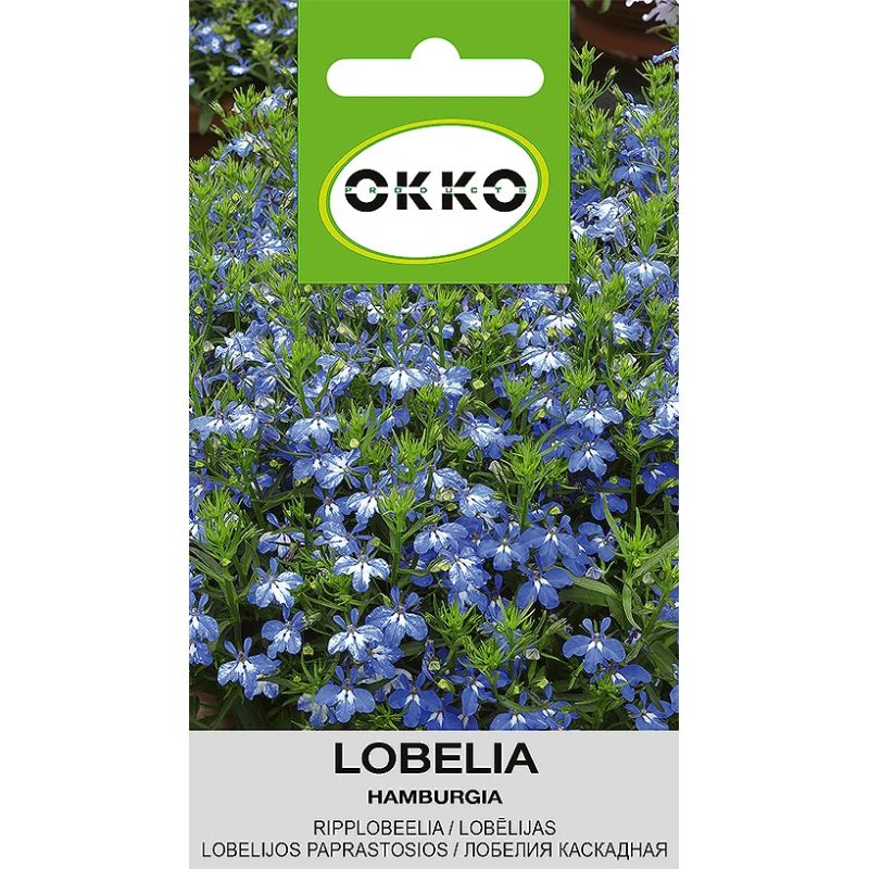 Sēklas lobēlijas hamburgia