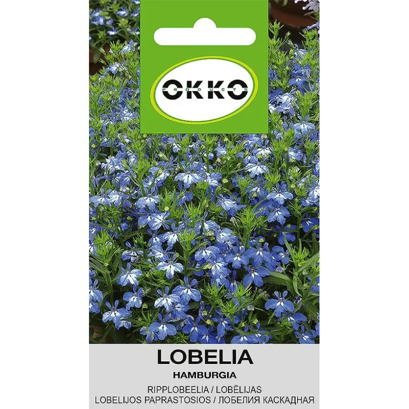 Sēklas Okko lobēlijas Hamburgia, 0.08 g