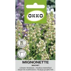Sėklos Okko razeta Machet, 1 g