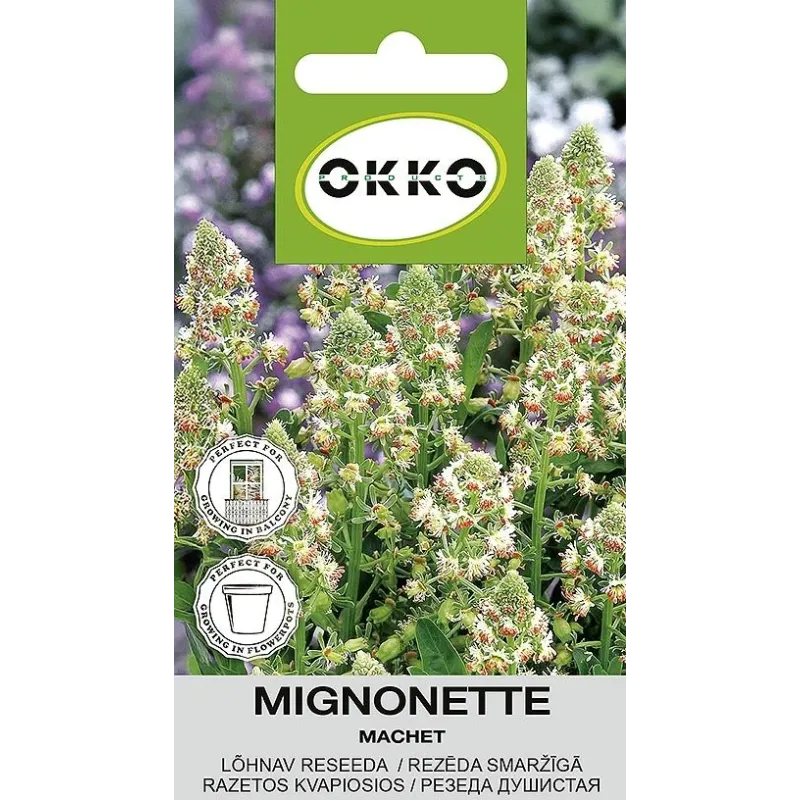 Sēklas Okko rezēda Machet, 1 g