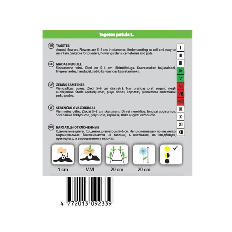 Sēklas zemās samtenes sparky