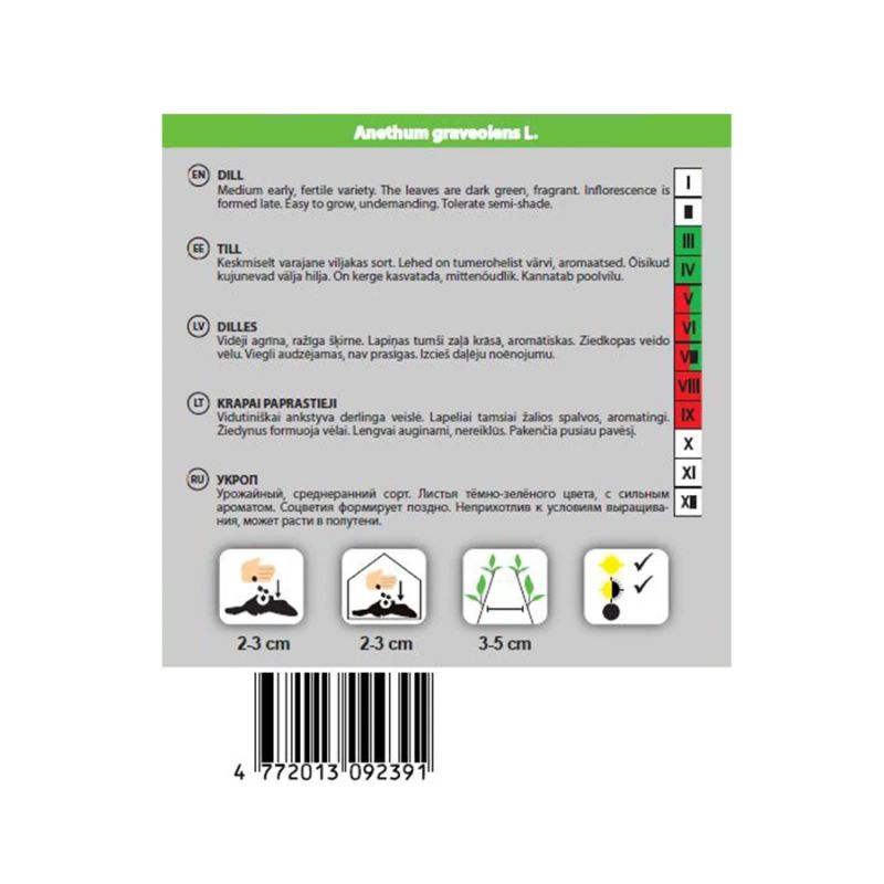 Sēklas dilles mammouth