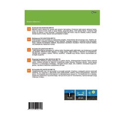 Sēklas kolrābji delicacy white