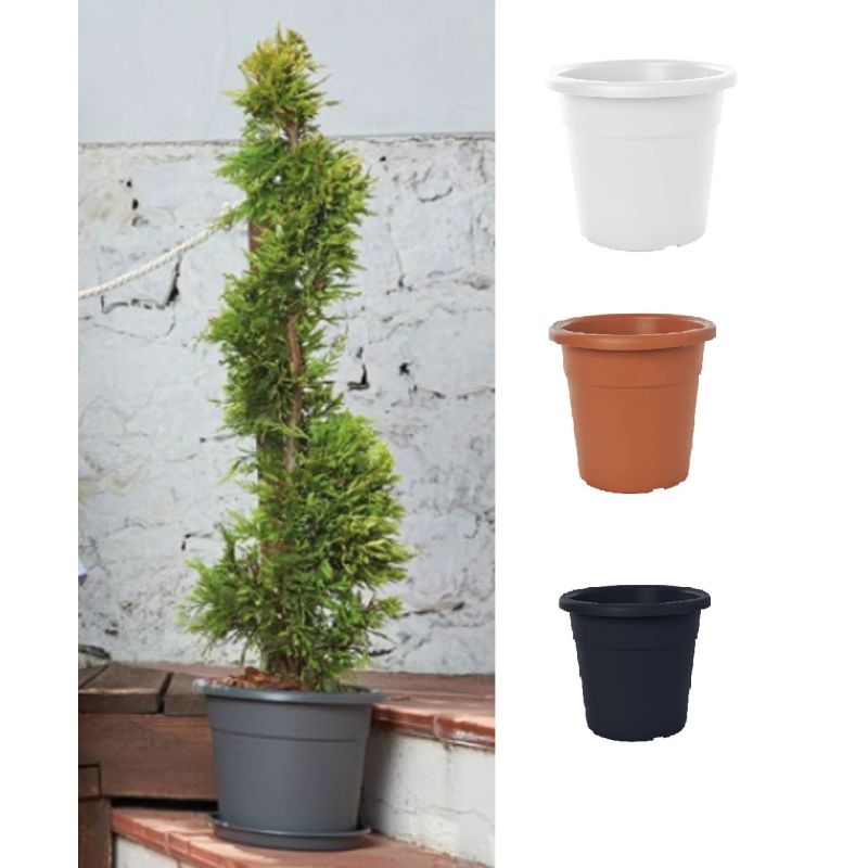 Plastm.puķu pods ma000030-100d30 g.brūns