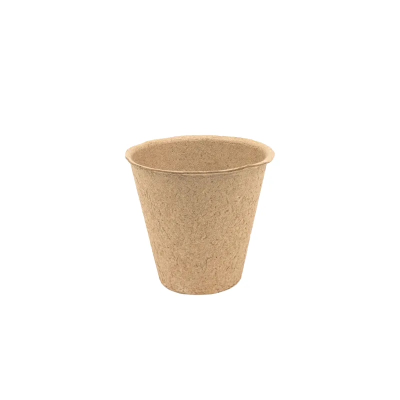 Diedzēšanas krūzīšu komplekts Garden Center 725002-3, DIA 8 cm, 24 gab.