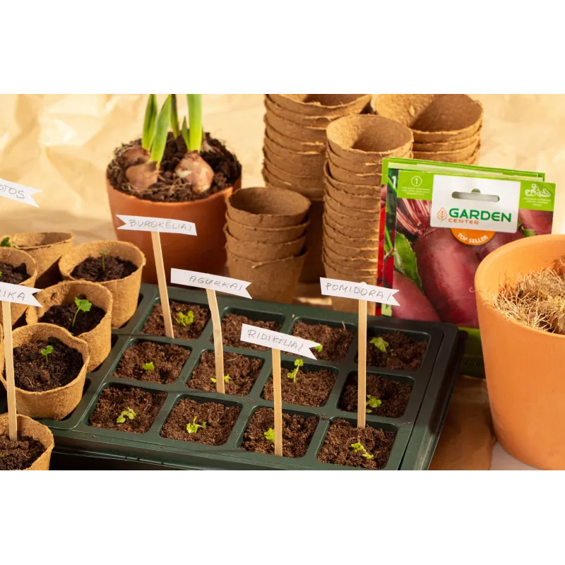 Diedzēšanas krūzīšu komplekts Garden Center 725002-3, DIA 8 cm, 24 gab.