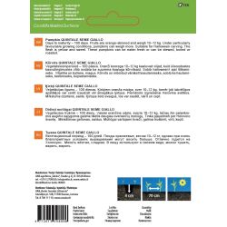 Sēklas dārzeņu ķirbji quint semegiallo2g