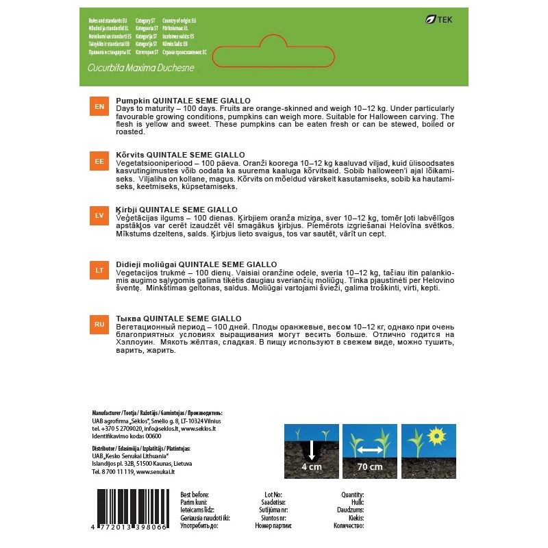 Sēklas dārzeņu ķirbji quint semegiallo2g