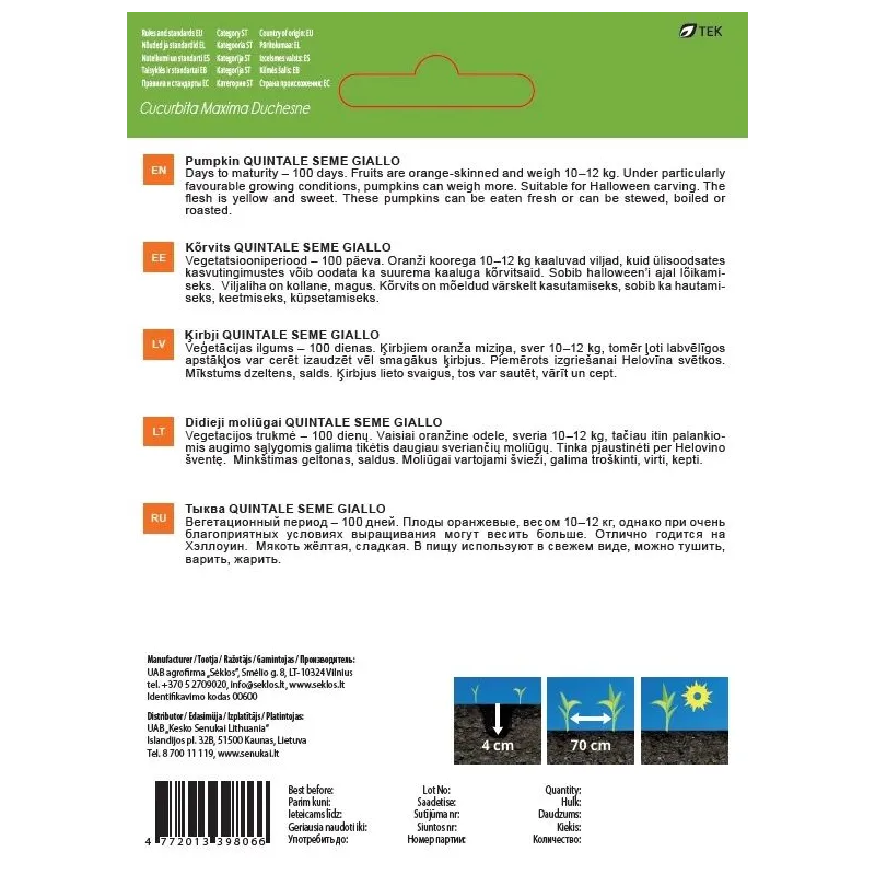 Sēklas Garden Center, ķirbis QUINTALE SEME GIALLO, 2 g