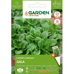 Sēklas Garden Center, itāļu salāti GALA, 1 g