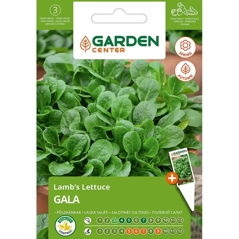 Sēklas Garden Center, itāļu salāti GALA, 1 g