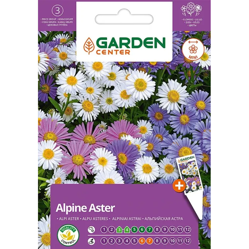 Sēklas Garden Center asteres MIX, 0.5 g