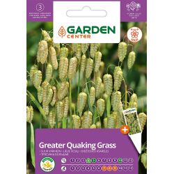 Sēklas ziedu trīsenes lielās 0.5g