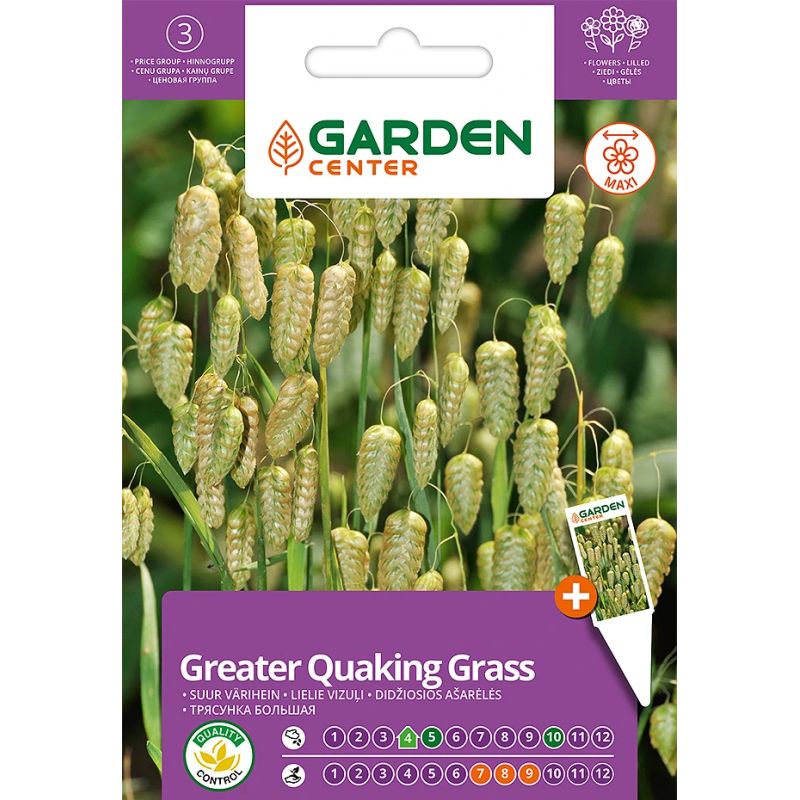 Sēklas ziedu trīsenes lielās 0.5g