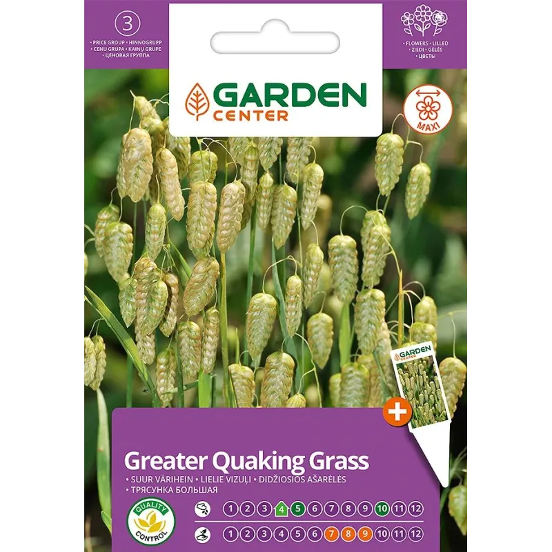 Sēklas Garden Center lielā trīsene, 0.5 g