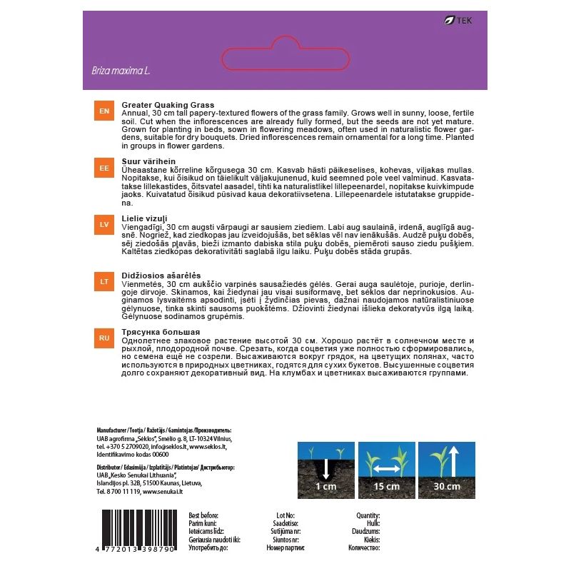 Sēklas ziedu trīsenes lielās 0.5g