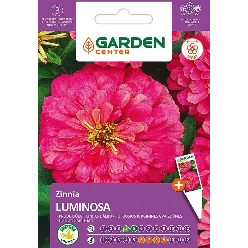 Sēklas Garden Center cīnijas LUMINOSA, 1 g