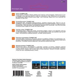 Sēklas ziedu cinijas thumbelina 1g