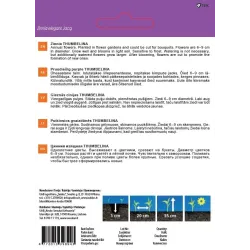 Sēklas ziedu cinijas thumbelina 1g