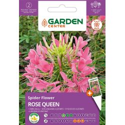 Sēklas ziedu kleomes rose queen 0.4g