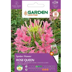 Sēklas ziedu kleomes rose queen 0.4g