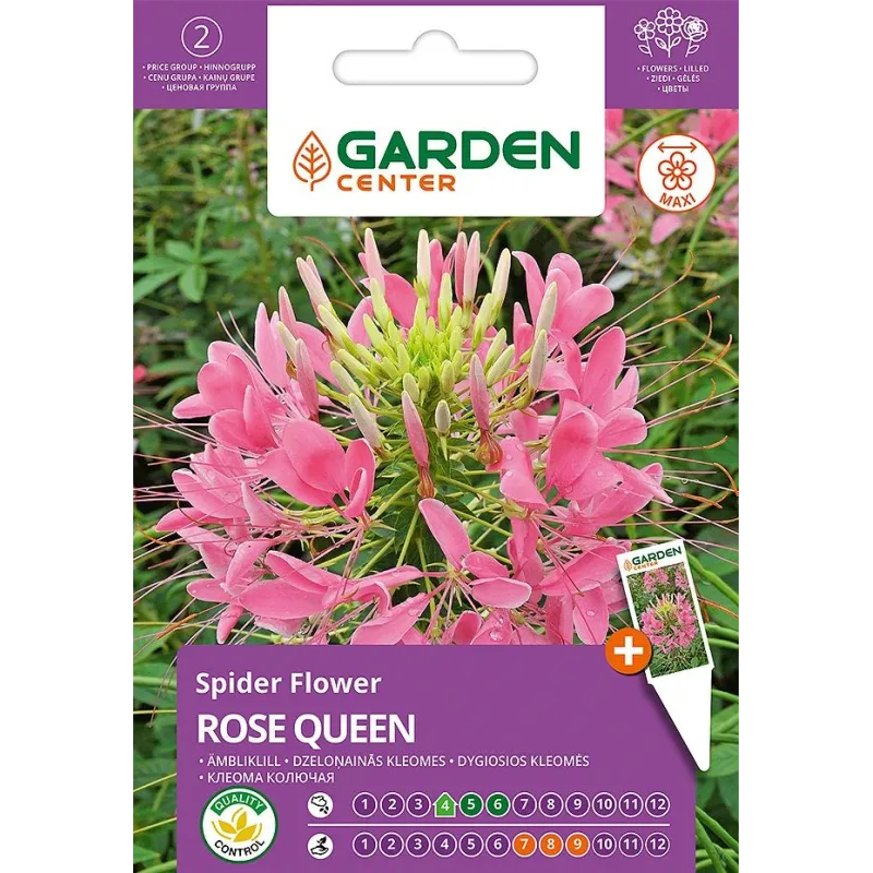 Sēklas kleomes ROSE QUEEN, 0.4 g