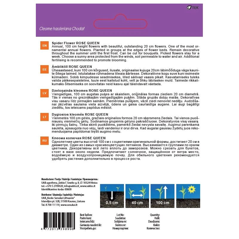 Sēklas ziedu kleomes rose queen 0.4g