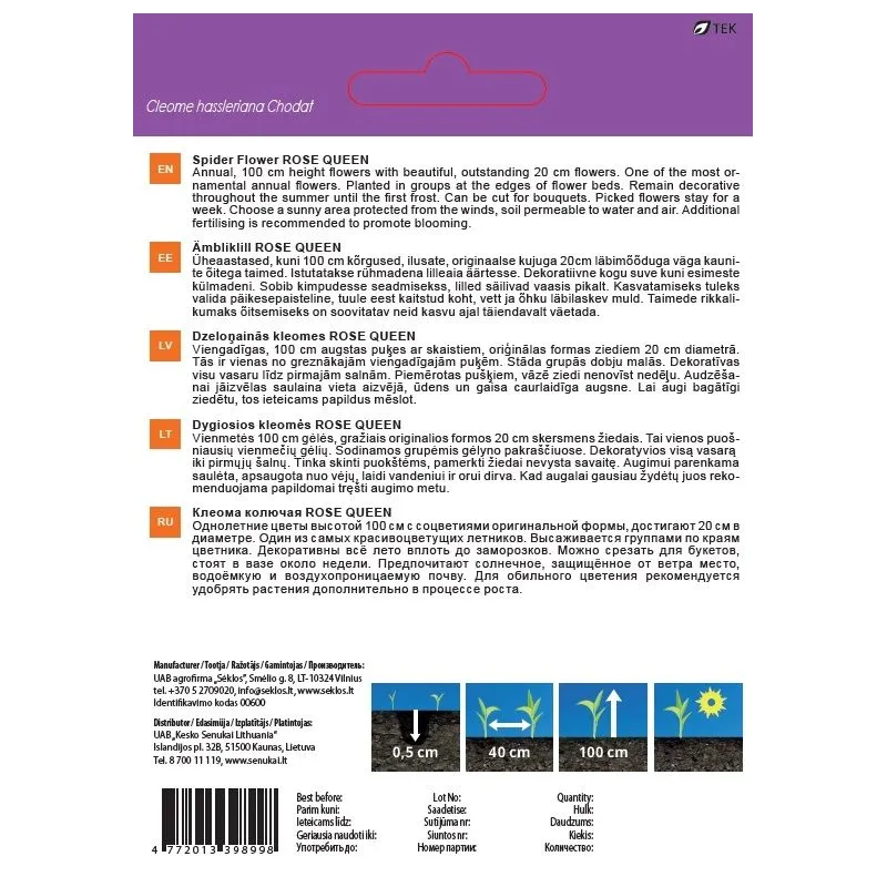 Sēklas kleomes ROSE QUEEN, 0.4 g