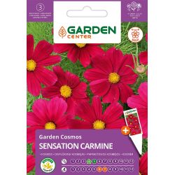 Sēklas kosmejas sensation carmine 1g
