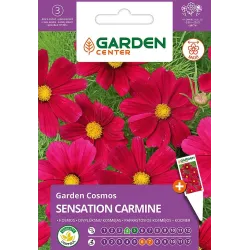 Sēklas Garden Center kosmejas SENSATION CARMINE, 1 g